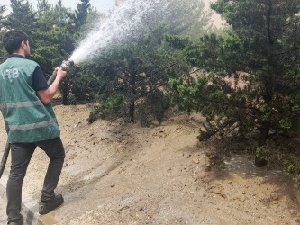 “Konstitusiya və Suverenlik ili” çərçivəsində növbəti ümumrayon iməcliyi təşkil olundu
