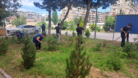 Xətai rayonunda növbəti iməcik keçirilir