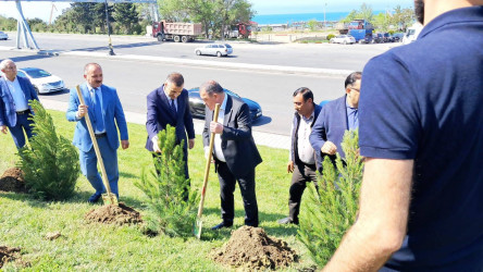 Ümummilli Lider Heydər Əliyevin anadan olmasının 102-ci ildönümü münasibətilə ağacəkmə aksiyası təşkil edilmişdir