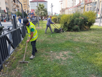 Xətai rayonunda növbəti iməclik keçirilib