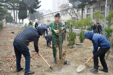 Humanitar Fənlər Təmayüllü liseydə və  M.Rüstəmov küçəsində Ümummili lider Heydər Əliyevin 100 illik yubileyinə həsr olunmuş növbəti ağacəkmə aksiyası keçirilib