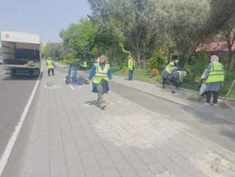 “Konstitusiya və Suverenlik ili” çərçivəsində ümumrayon iməcliyi aksiyası təşkil olundu