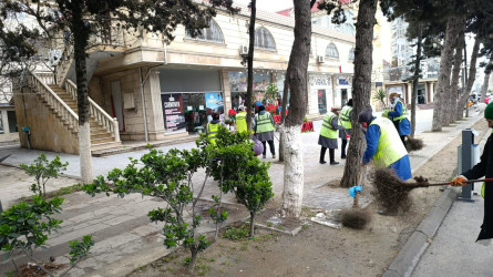 30.03.2026-cı ildə Xətai rayonunda təmizliklə bağlı iməclik keçirilib