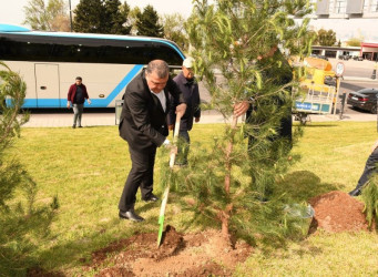 Ümummilli lideri Heydər Əliyevin anadan olmasının 102-ci ildönümü ilə əlaqədar ağacəkmə aksiyası təşkil edilib