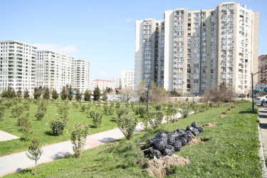 18 aprel 2026-cı il tarixində Xətai rayonunda “Şəhərsalma və Memarlıq ili” çərçivəsində ağacəkmə aksiyası keçirilib