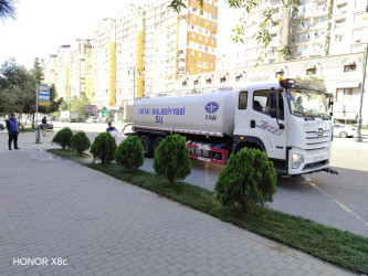 Xətai rayonunda yeni yaşıllıq zolaqları salınmışdır