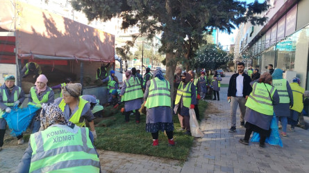 Xətai rayonunda yeni yaşıllıq zolaqları salınmışdır