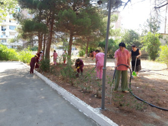 Xətai rayonunda növbəti iməcik keçirilir