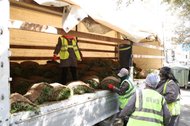 18 aprel 2026-cı il tarixində Xətai rayonunda “Şəhərsalma və Memarlıq ili” çərçivəsində ağacəkmə aksiyası keçirilib