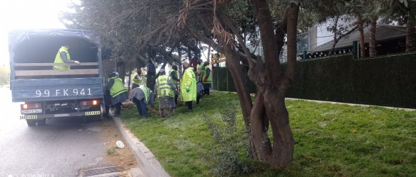 Rayonun Məhəmməd Hadi və Aşıq Ələsgər küçələrində yaşıllıq zolağı salınıb