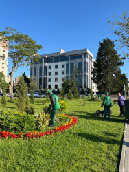 “Konstitusiya və Suverenlik ili” çərçivəsində ümumrayon iməcliyi  təşkil olundu