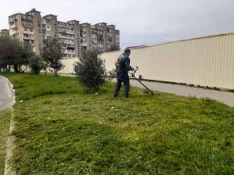 Xətai rayonunda təmizlik və abadlıq işləri çərçivəsində iməcilik və ağacəkmə aksiyası keçirilib