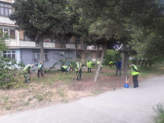 Xətai rayonunda təmizlik və abadlıqla bağlı növbəti iməclik keçirilib