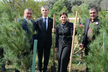 Xətai rayonunda Anım Günü ilə əlaqədar ağacəkmə aksiyası keçirilib