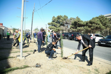 Xətai rayonunda 27 sentyabr-Anım Günü ilə əlaqədar ağacəkmə aksiyası keçirilib