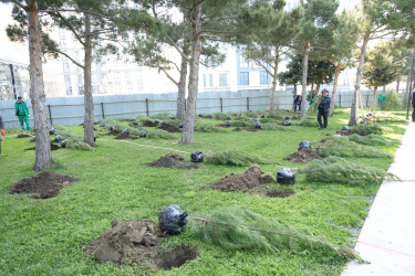 18 aprel 2026-cı il tarixində Xətai rayonunda “Şəhərsalma və Memarlıq ili” çərçivəsində ağacəkmə aksiyası keçirilib