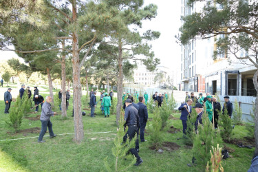 18 aprel 2026-cı il tarixində Xətai rayonunda “Şəhərsalma və Memarlıq ili” çərçivəsində ağacəkmə aksiyası keçirilib