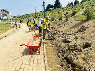 “Konstitusiya və Suverenlik ili” çərçivəsində ümumrayon iməcliyi aksiyası təşkil olundu