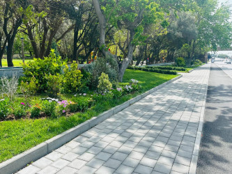 “Konstitusiya və Suverenlik ili” çərçivəsində ümumrayon iməcliyi aksiyası təşkil olundu