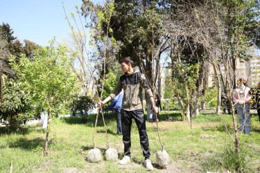 18 aprel 2026-cı il tarixində Xətai rayonunda “Şəhərsalma və Memarlıq ili” çərçivəsində ağacəkmə aksiyası keçirilib