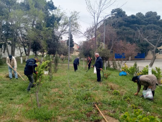 Xətai rayonunda “Konstitusiya və Suverenlik ili” çərçivəsində ümumrayon iməcliyi və ağacəkmə aksiyası təşkil olunub.