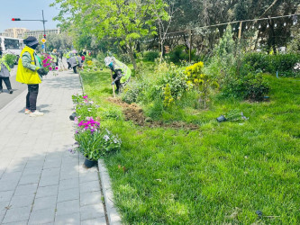 “Konstitusiya və Suverenlik ili” çərçivəsində ümumrayon iməcliyi aksiyası təşkil olundu