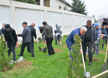 “Konstitusiya və Suverenlik ili” çərçivəsində Gənclik parkında ağacəkmə aksiyası təşkil olunub.