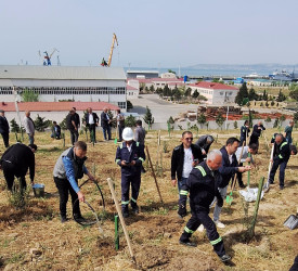 “Konstitusiya və Suverenlik ili” çərçivəsində ümumrayon iməcliyi  təşkil olundu