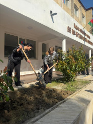 Xətai rayonunda təmizlik və abadlıq işləri çərçivəsində iməcilik və ağacəkmə aksiyası keçirilib