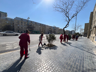 Xətai rayonunda təmizlik və abadlıq işləri çərçivəsində iməcilik və ağacəkmə aksiyası keçirilib
