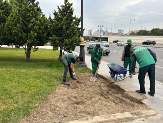 “Konstitusiya və Suverenlik ili” çərçivəsində növbəti ümumrayon iməcliyi təşkil olundu