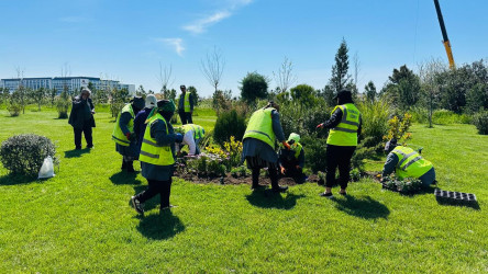 18 aprel 2026-cı il tarixində Xətai rayonunda “Şəhərsalma və Memarlıq ili” çərçivəsində ağacəkmə aksiyası keçirilib