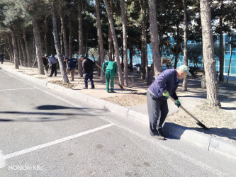 Xətai rayonunda yeni yaşıllıq zolaqları salınmışdır