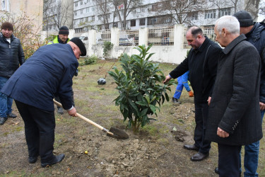 Humanitar Fənlər Təmayüllü liseydə və  M.Rüstəmov küçəsində Ümummili lider Heydər Əliyevin 100 illik yubileyinə həsr olunmuş növbəti ağacəkmə aksiyası keçirilib