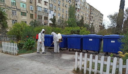 Xətai rayonunda təmizlik günü keçirilir