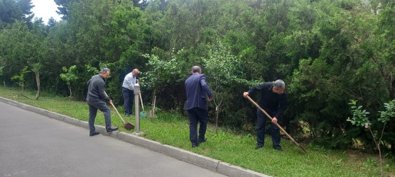“Konstitusiya və Suverenlik ili” çərçivəsində növbəti ümumrayon iməcliyi təşkil olundu