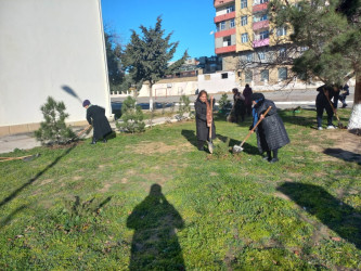 Xətai rayonunda "Heydər Əliyev İli"nə həsr olunan ağacəkmə aksiyası keçirilib