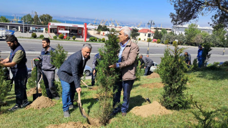 Ümummilli Lider Heydər Əliyevin anadan olmasının 102-ci ildönümü münasibətilə ağacəkmə aksiyası təşkil edilmişdir