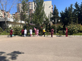 Xətai rayonunda təmizlik və abadlıq işləri çərçivəsində iməcilik və ağacəkmə aksiyası keçirilib