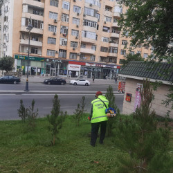 Xətai rayonunda təmizlik və abadlıqla bağlı növbəti iməclik keçirilib