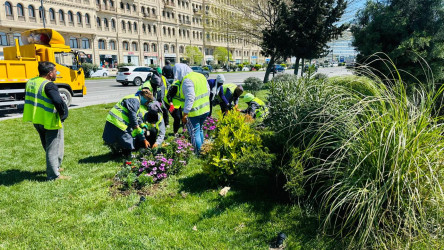 18 aprel 2026-cı il tarixində Xətai rayonunda “Şəhərsalma və Memarlıq ili” çərçivəsində ağacəkmə aksiyası keçirilib