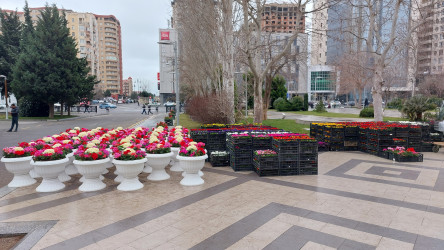 Xocalı soyqırımının 32-ci ildönümü ilə bağlı "Ana fəryadı" abidəsinin yerləşdiyi parkda abadlıq işləri aparılır