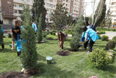 Xətai rayonunda "Bizim həyət" layihəsi çərçivəsində abadlaşdırılan növbəti həyət istifadəyə verilib