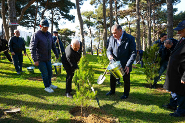 Xətai rayonunda 14 mart 2026-cı il tarixində  “Şəhərsalma və Memarlıq ili” çərçivəsində ağacəkmə aksiyası keçirilib.