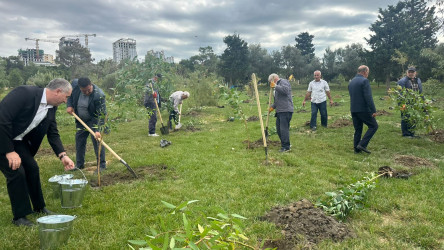 Xətai rayonunda “Konstitusiya və Suverenlik ili” çərçivəsində ağacəkmə aksiyası keçirildi
