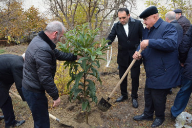 Humanitar Fənlər Təmayüllü liseydə və  M.Rüstəmov küçəsində Ümummili lider Heydər Əliyevin 100 illik yubileyinə həsr olunmuş növbəti ağacəkmə aksiyası keçirilib