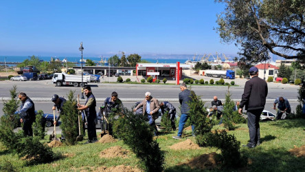 Ümummilli Lider Heydər Əliyevin anadan olmasının 102-ci ildönümü münasibətilə ağacəkmə aksiyası təşkil edilmişdir