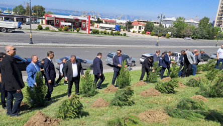 Ümummilli Lider Heydər Əliyevin anadan olmasının 102-ci ildönümü münasibətilə ağacəkmə aksiyası təşkil edilmişdir