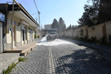 Xətai rayonunda təmizlik və abadlıq işləri çərçivəsində iməcilik və ağacəkmə aksiyası keçirilib
