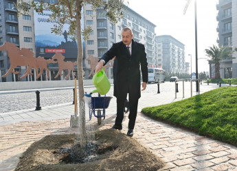 Bakı Ağ Şəhərin Mərkəzi Park Kvartalında bir sıra infrastruktur obyektlərinin inşası tamamlanıb.  Prezident İlham Əliyev görülən işlərlə tanış olub, Qarabağ Atları Kompleksinin təməlini qoyub